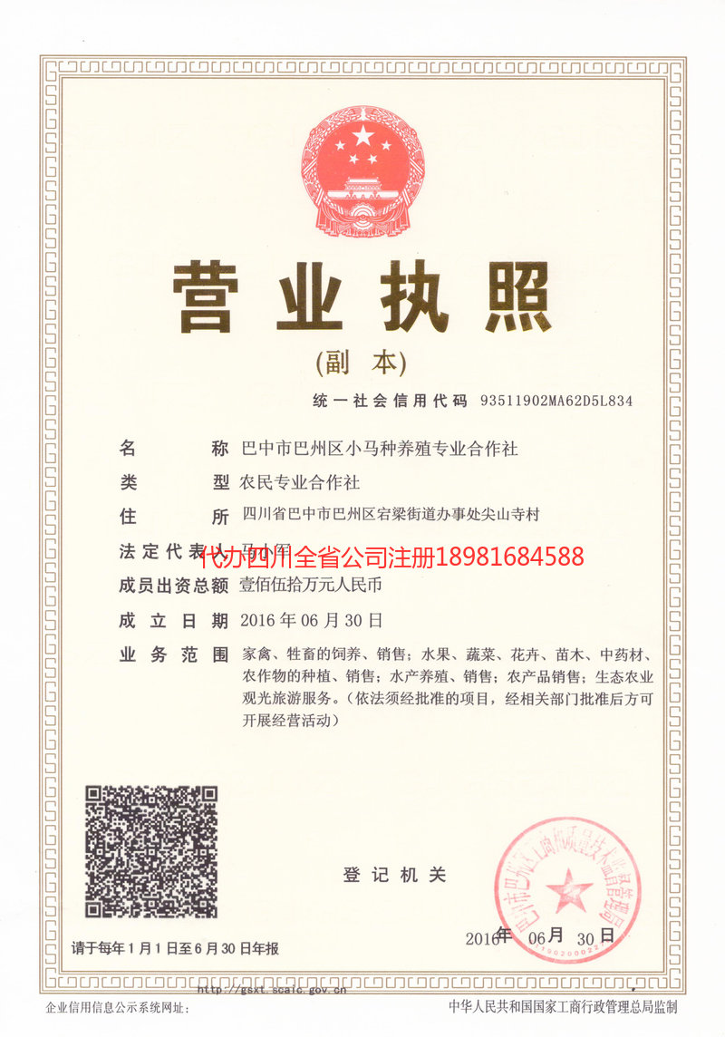 霍尔果斯霍尔果斯小马种养殖专业合作社